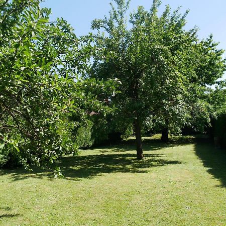 Au Gre Des Chateaux Goxwiller Exteriör bild