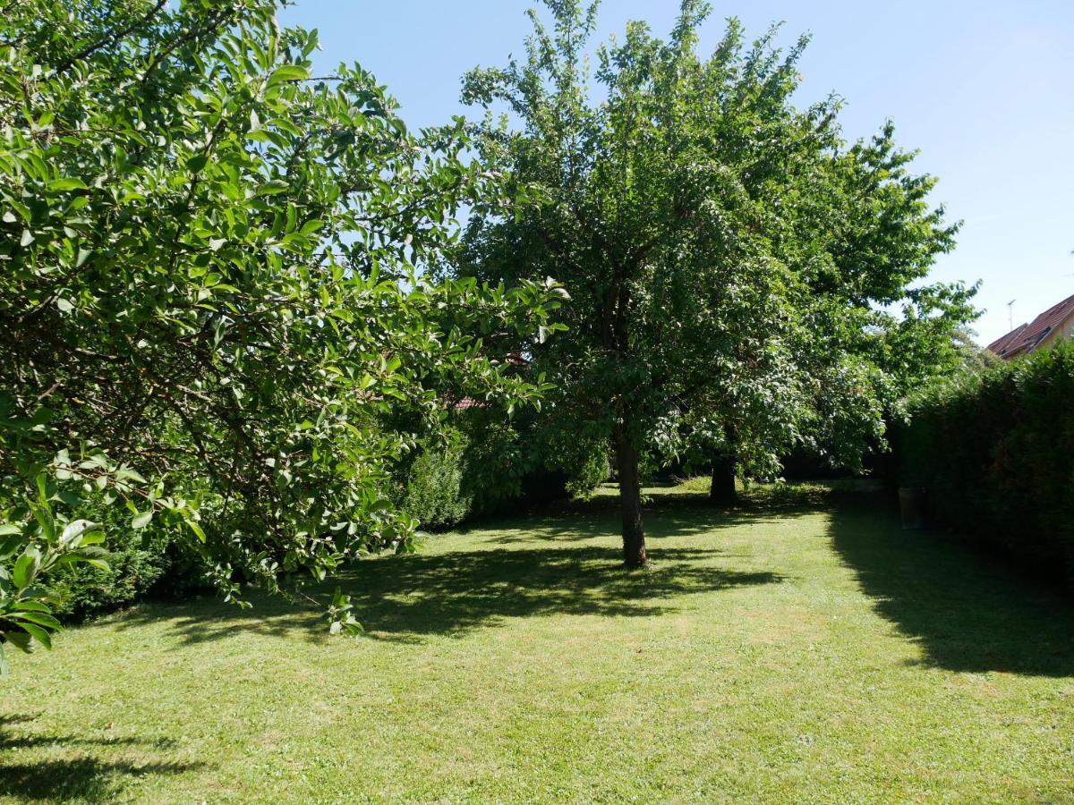 Au Gre Des Chateaux Goxwiller Exteriör bild